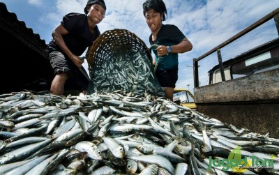uploads/news/2019/11/misi-sumsel-menjadi-sentra-874535ed96aee15_400.jpg