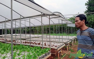 uploads/news/2019/11/parung-farm-pelopor-hidroponik-237572b7157d8c9_400.jpg