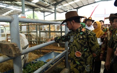 uploads/news/2019/11/pasuruan-jadi-percontohan-produksi-52317c2ef93af30_400.jpg