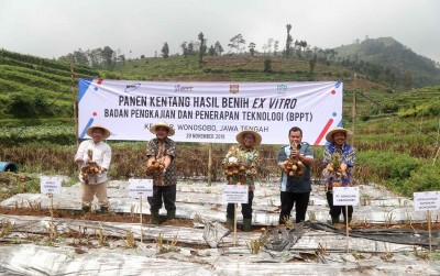 uploads/news/2019/11/perbanyak-bibit-kentang-dengan-405691a0691bec0_400.jpg