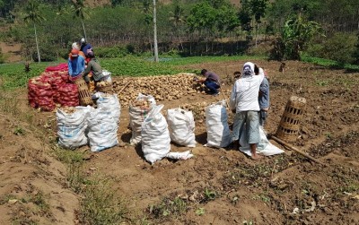 uploads/news/2019/11/pertemukan-eksportir-dan-petani-23331fa0e07f1ac_400.jpeg