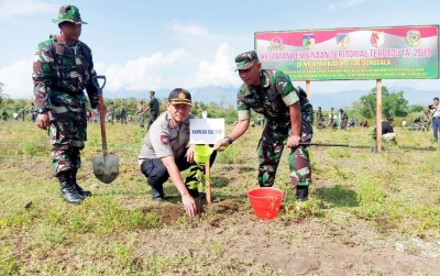 uploads/news/2019/11/tanam-pohon-demi-menghijaukan-93746be35e4a1e1_400.jpeg