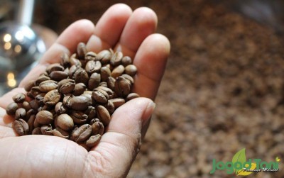uploads/news/2019/11/tinggalkan-pupuk-kimia-demi-227024de2762fa8_400.jpg