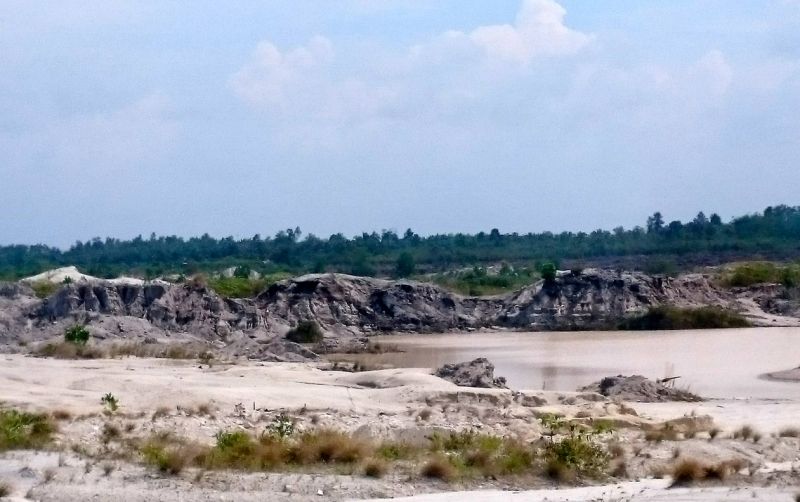 uploads/news/2019/12/bercocoktanam-di-lahan-bekas-21799f5140d2fdd.jpg