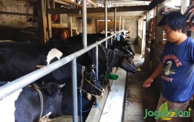uploads/news/2019/12/berhenti-kerja-jadi-peternak-569972b21a9e47e_400.jpg