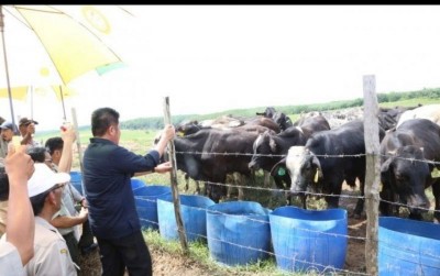 uploads/news/2019/12/bibit-sapi-unggul-dari-1898050968d558d_400.jpg