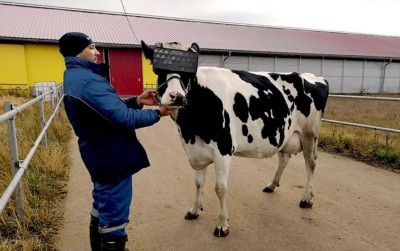 uploads/news/2019/12/kacamata-vr-untuk-sapi-20110b62762f12f_400.jpg