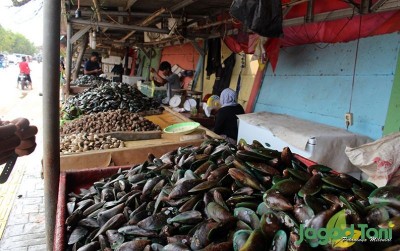 uploads/news/2019/12/larisnya-kerang-jelang-akhir-27695c994890cf8_400.jpg