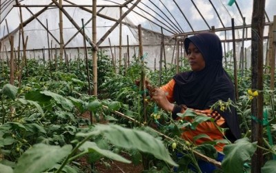 uploads/news/2019/12/pembuktian-diri-lewat-pertanian-345346abdef9cc9_400.jpg