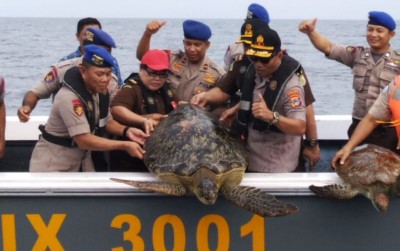 uploads/news/2019/12/polisi-lepasliarkan-puluhan-penyu-235081e30bbc2a6_400.jpg