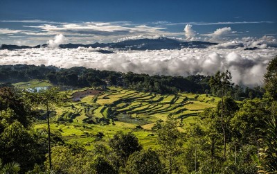 uploads/news/2019/12/toraja-utara-kembangkan-teknologi-729853a19f7656f_400.jpg