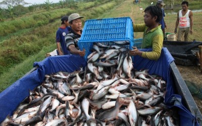 uploads/news/2020/01/antisipasi-dampak-banjir-dengan-46549f7e5d8c1d7_400.jpeg