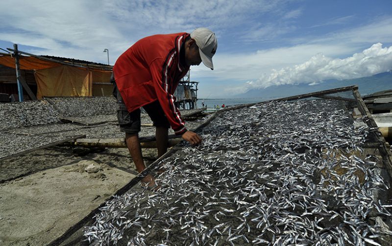 uploads/news/2020/01/asa-nelayan-ikan-teri-25487060912c26f.JPG