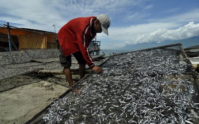 uploads/news/2020/01/asa-nelayan-ikan-teri-25487060912c26f_400.JPG