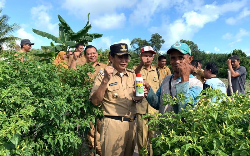 uploads/news/2020/01/bateng-angkat-sentra-cabai-318168043ce6278.jpg
