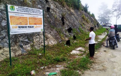 uploads/news/2020/01/dampak-memberi-makan-satwa-66726f90c8ba4db_400.jpeg