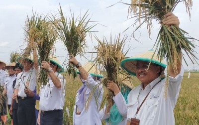 uploads/news/2020/01/harta-hijau-di-utara-89555d4d66fc918_400.jpeg