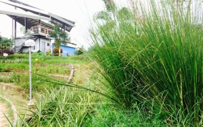 uploads/news/2020/01/ketika-jokowi-terkesima-dengan-87799c57271f835_400.jpg