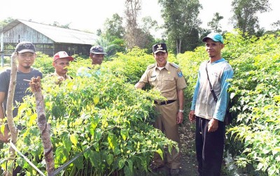 uploads/news/2020/01/misi-bateng-jadi-pemasok-40218c180ef5752_400.jpg