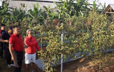 uploads/news/2020/01/pembuktian-budidaya-apel-gianyar-854188e7ead4dab_400.jpg