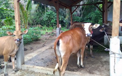 uploads/news/2020/01/pemkab-bateng-serahkan-sepuluh-53906cdb6230a9e_400.jpg