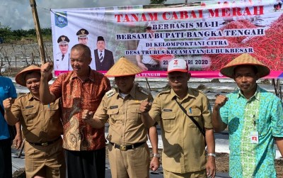 uploads/news/2020/01/poktan-citra-trubus-tanam-2220012692e9640_400.jpg