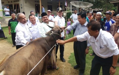 uploads/news/2020/01/potensi-budidaya-sapi-di-83607a03cb702b2_400.jpg
