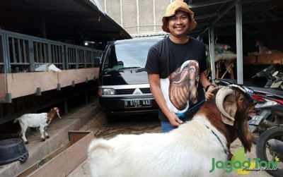 uploads/news/2020/01/sukses-ternak-kambing-karena-222417156cb37d7_400.jpeg