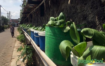 uploads/news/2020/01/urban-farming-yang-merajalela-81776f8896ac2b8_400.jpeg