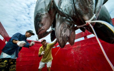 uploads/news/2020/02/700-kartu-asuransi-nelayan-11877c47073483a_400.jpg