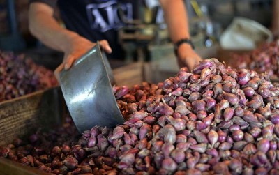 uploads/news/2020/02/bateng-jadi-kawasan-cabai-bawang-86773374bb53e53_400.jpg