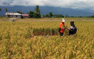 uploads/news/2020/02/bptp-sulteng-kembangkan-pengubinan-731366f0d6ffe8c_400.jpeg