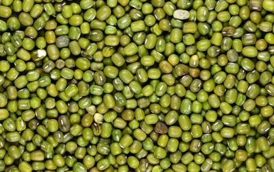 uploads/news/2020/02/menangkap-peluang-pasar-kacang-470036175ef0698_400.jpg