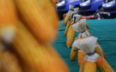 uploads/news/2020/02/panen-di-bekas-ladang-585555cdc330a70_400.jpg