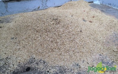 uploads/news/2020/02/sekam-padi-kurangi-bau-7037726916f5661_400.jpeg