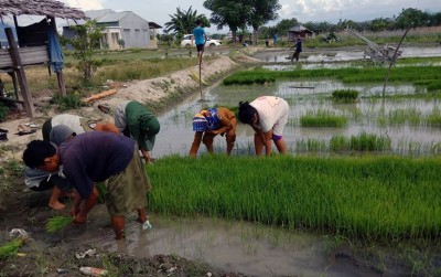 uploads/news/2020/03/bptp-palu-genjot-produktivitas-85707d7bd9fc696_400.jpeg