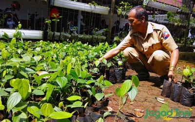 uploads/news/2020/03/budidaya-lada-perdana-kota-914566c356d0024_400.jpg