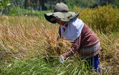 uploads/news/2020/03/bupati-bateng-apresiasi-kwt-979361a158fbd5f_400.jpg