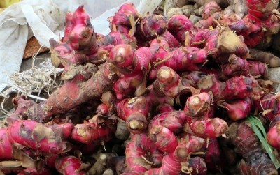 uploads/news/2020/03/jahe-merah-mencegah-virus-34051a53570f4f0_400.jpg