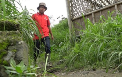 uploads/news/2020/03/kisah-sukses-dari-kaki-34836cb92eafc88_400.jpg