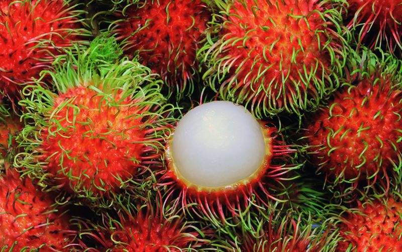 uploads/news/2020/03/mengatasi-embun-tepung-pada-867115497995962.jpg