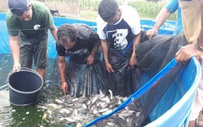 uploads/news/2020/03/menggunakan-teknologi-bioflok-atasi-341159713ae03c6_400.jpeg
