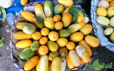 uploads/news/2020/03/panen-timun-suri-menjelang-662523e927f3db7_400.jpg