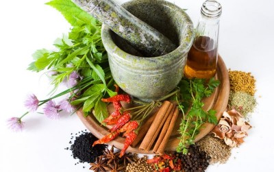 uploads/news/2020/03/tanaman-obat-keluarga-penangkal-774470cbd68d496_400.jpg