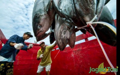 uploads/news/2020/03/upaya-sulteng-tangani-ilegal-37255270e0de1b9_400.jpg