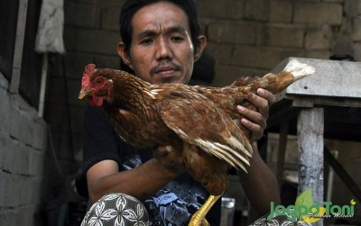 uploads/news/2020/04/cegah-penyakit-ayam-dengan-849932e1e4cde65_400.JPG