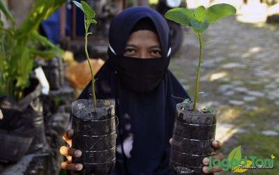 uploads/news/2020/04/manfaatkan-waktu-bercocoktanam-selama-43037111a3fec8c_400.JPG