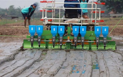 uploads/news/2020/04/mengenal-direct-seeding-jarwo-345026eada2869b_400.jpg