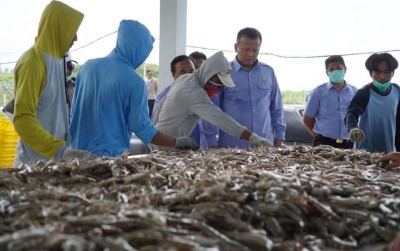 uploads/news/2020/04/panen-perikanan-capai-450-000-52427e37a61868a_400.jpeg