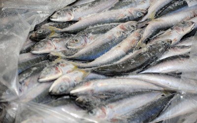 uploads/news/2020/04/peluang-ekspor-ikan-saat-7412573654ad348_400.jpg